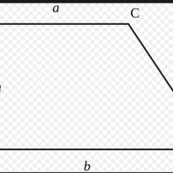 Draw a parallelogram that is not a rectangle