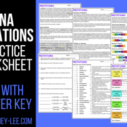 Mutations worksheet answer key biology