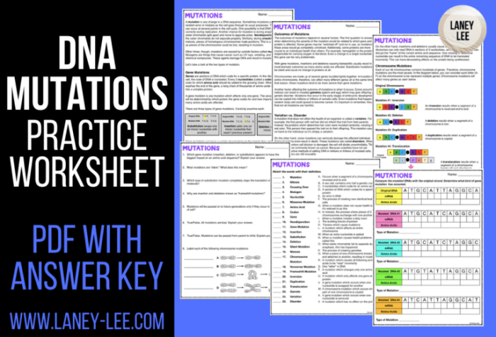 Mutations worksheet answer key biology