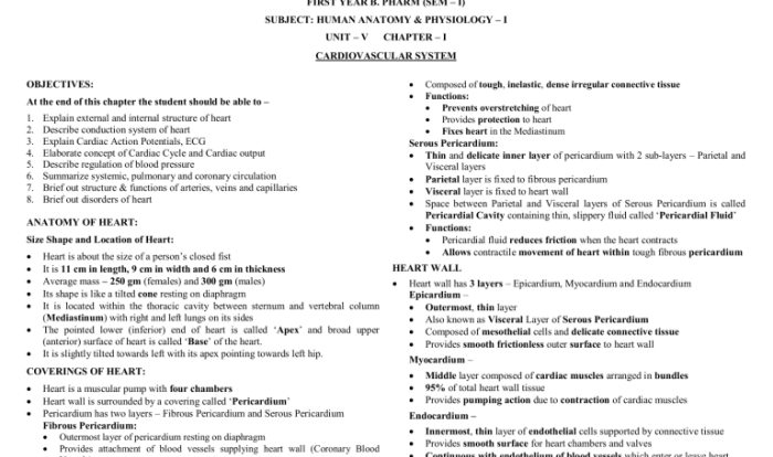 Rn learning system medical-surgical cardiovascular and hematology practice quiz