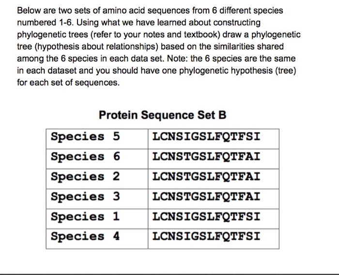 Amino acid sequences and evolutionary relationships answer key