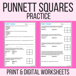 Punnett monohybrid crosses pdf answers coursehero squares olivier broc homozygous dominant