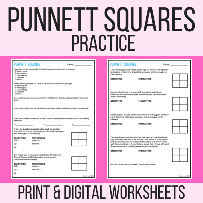 Punnett monohybrid crosses pdf answers coursehero squares olivier broc homozygous dominant