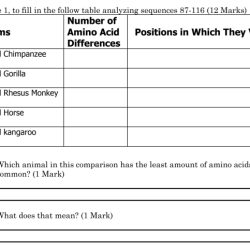 Amino acid sequences and evolutionary relationships answer key